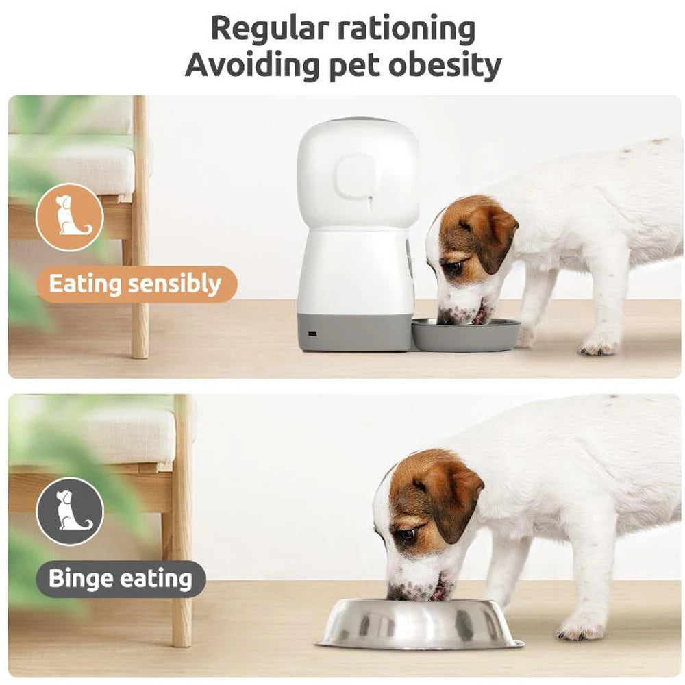 3.5L Smart Automatic Pet Feeder for Cats & Dogs – WIFI Control, Voice Recorder & Timed Feeding