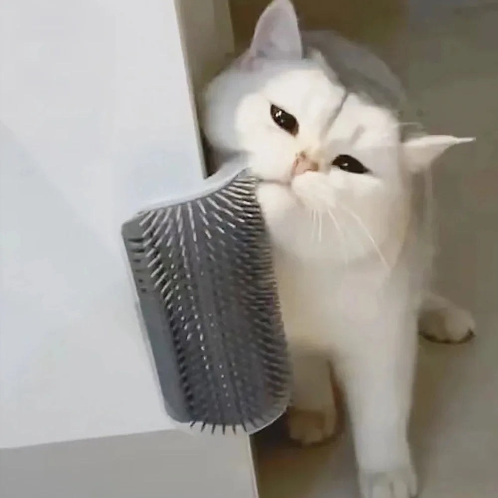 Self-Grooming Cat Brush with Catnip – Soft Massage Comb & Face Scratcher for Cats & Kittens