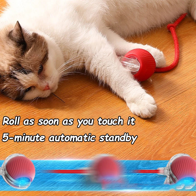 Smart Rechargeable Cat Toy Ball – Automatic Rolling with Faux Tail for Interactive Play & Training