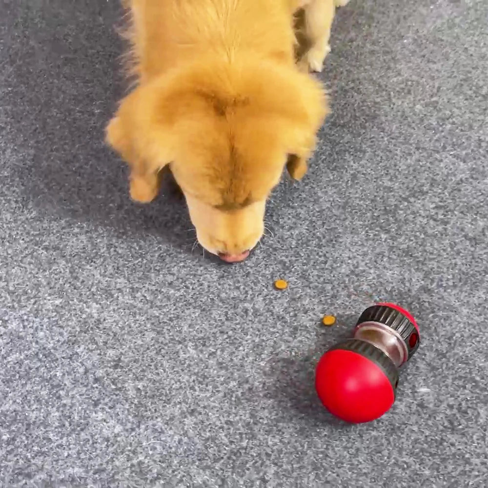Interactive Dog & Cat Feeder Toy – IQ Boosting Slow Feeder for Cats, Small, Medium & Large Dogs
