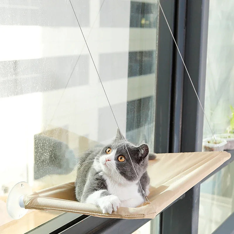 Window-Mounted Cat Bed - Breathable Oxford Fabric with Strong Suction Cups | Easy to Install, 20kg Capacity & Washable