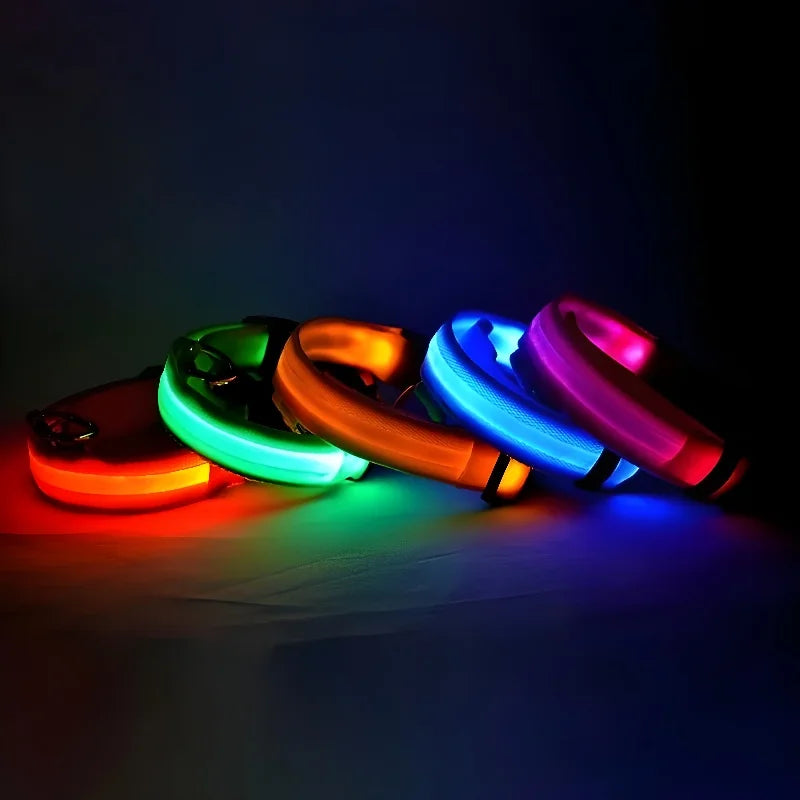 LED Nylon Dog Collar – Glow-in-the-Dark Flashing Safety Collar for Night Walks