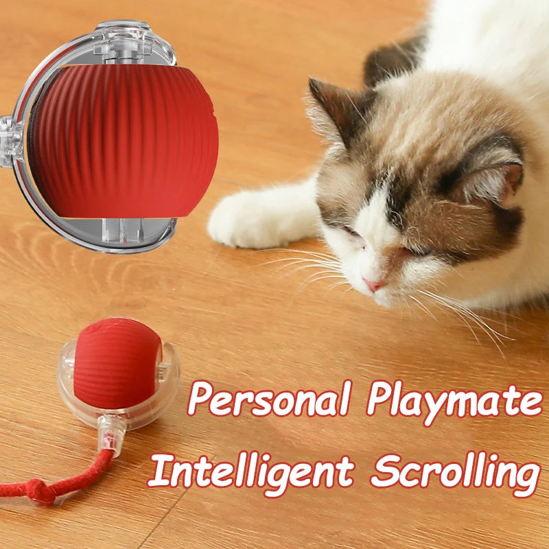 Smart Rechargeable Cat Toy Ball – Automatic Rolling with Faux Tail for Interactive Play & Training