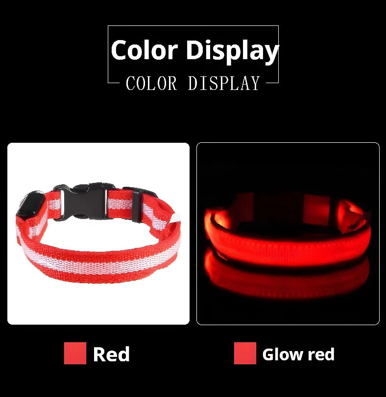 LED Nylon Dog Collar – Glow-in-the-Dark Flashing Safety Collar for Night Walks
