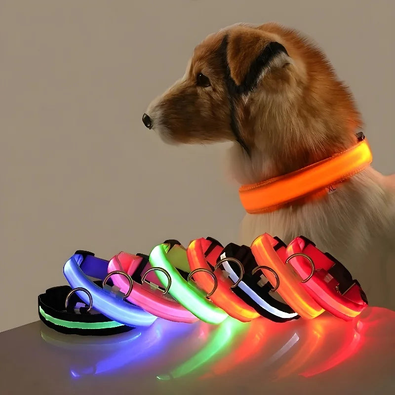 LED Nylon Dog Collar – Glow-in-the-Dark Flashing Safety Collar for Night Walks