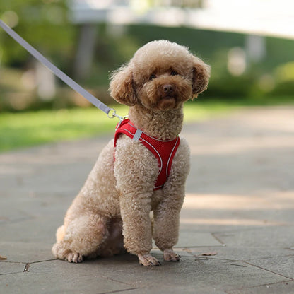 Reflective Dog Harness and Leash Set – Adjustable Vest for Small Dogs & Cats
