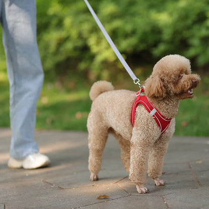 Reflective Dog Harness and Leash Set – Adjustable Vest for Small Dogs & Cats