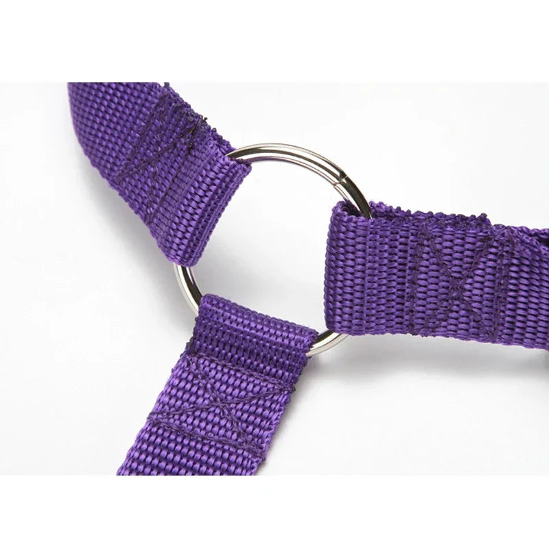 Adjustable Pet Car Seat Belt & Harness – Durable Nylon Safety Leash for Dogs & Cats