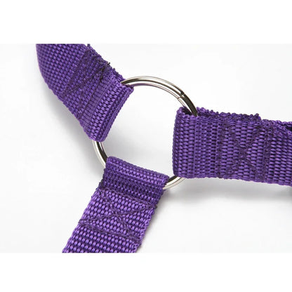 Adjustable Pet Car Seat Belt & Harness – Durable Nylon Safety Leash for Dogs & Cats