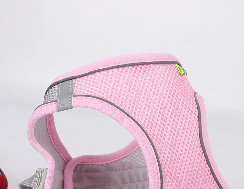 Reflective Dog Harness and Leash Set – Adjustable Vest for Small Dogs & Cats