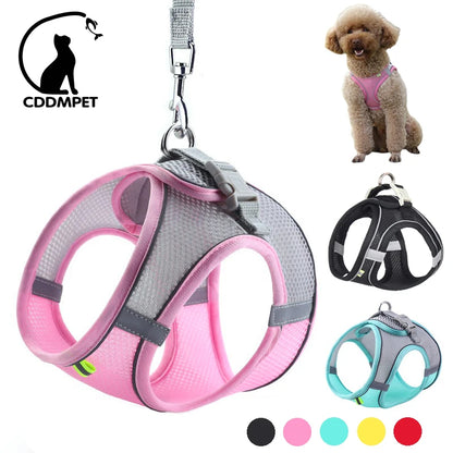 Reflective Dog Harness and Leash Set – Adjustable Vest for Small Dogs & Cats